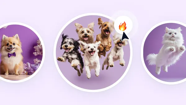 La ascensión de los petfluencers: el fenómeno más tierno de las redes sociales