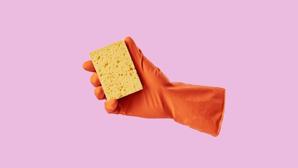 How Influencers May Improve a Brand’s Reputation