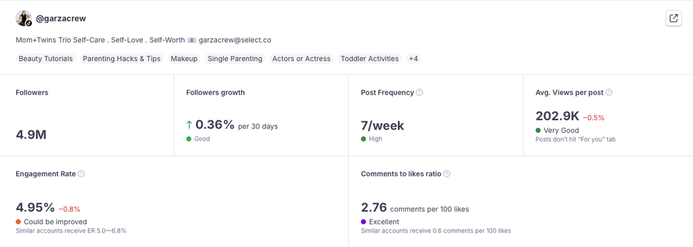Garza Twins TikTok stats