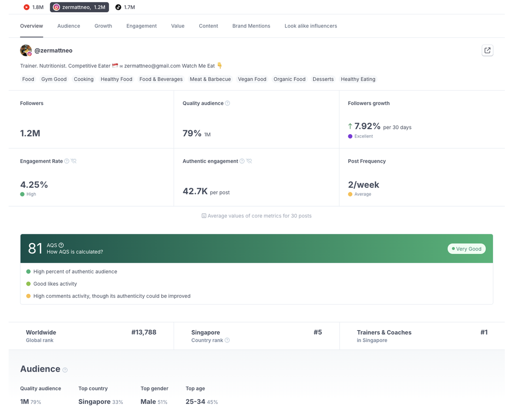 A look of HypeAuditor's influencer report which shows more than 35 useful metrics for marketers.