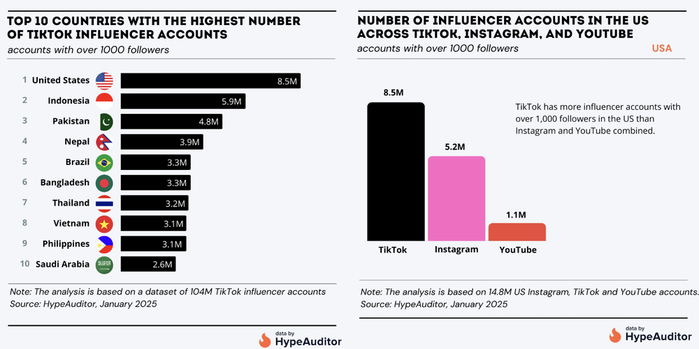 Data on TikTok influencers