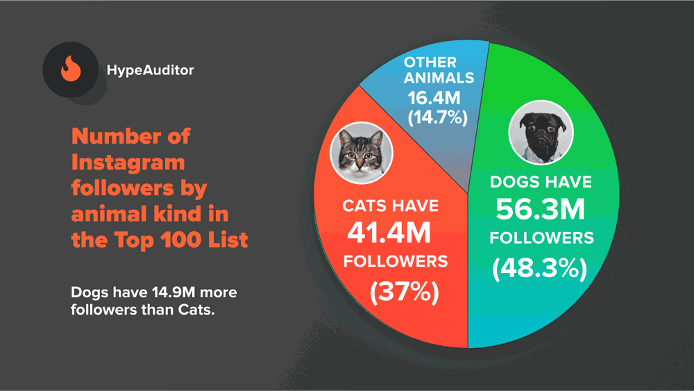 The Number of Followers of Dog and Cat Influencers on Instagram
