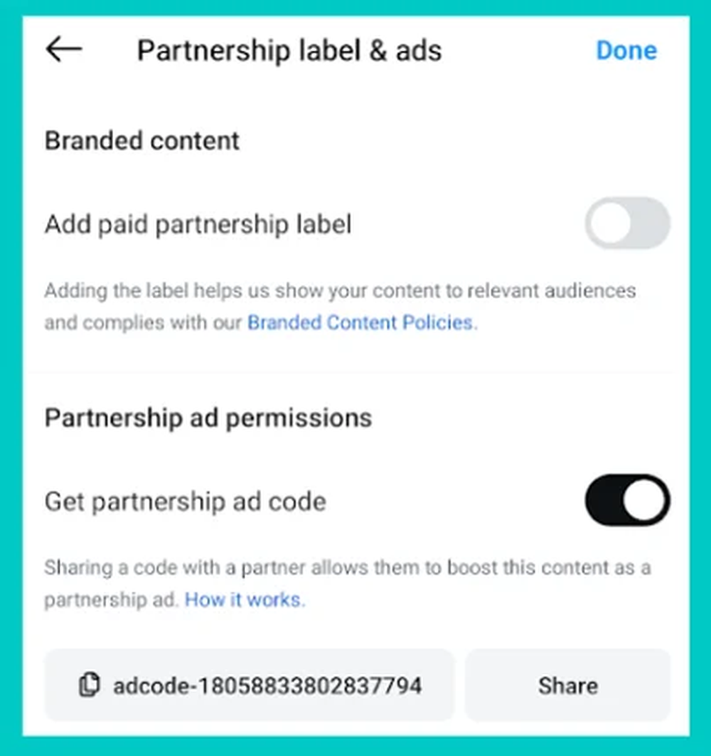 Instagram business partnership tags example screen.