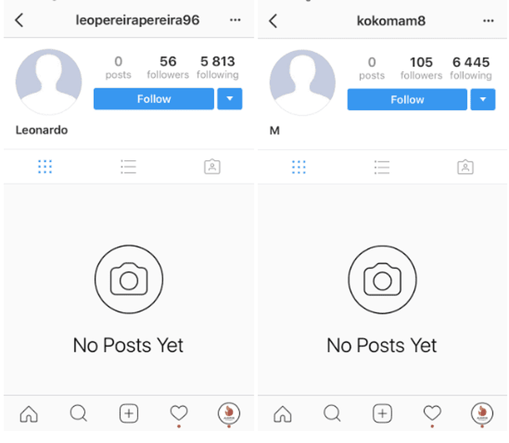 An example of a poor fake Instagram account