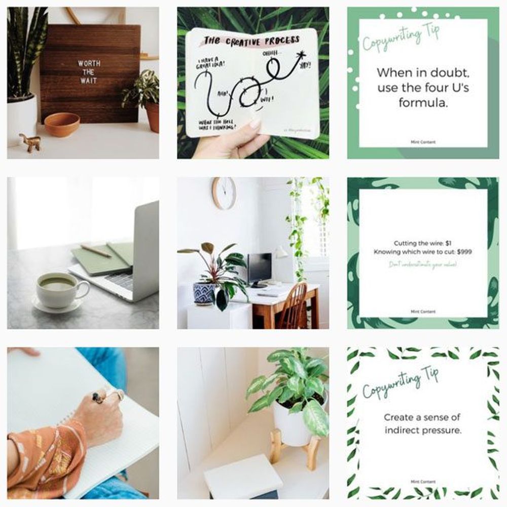 Photos of Mint Content via Instagram