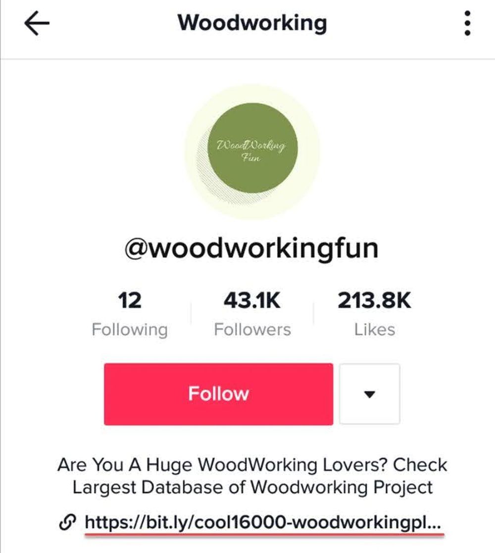 Wood Working Fun TikTok profile with an affiliate link in the bio, showcasing TikTok affiliate marketing in action.