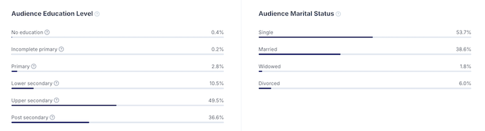 Audience education level and marital status in HypeAuditor's report
