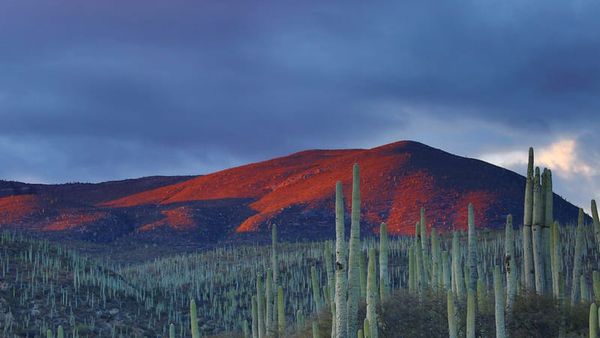 Estado del Marketing de Influencers de Instagram en México