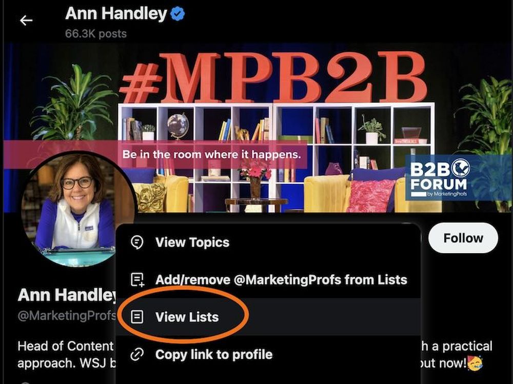 Check Twitter Lists on a user profile