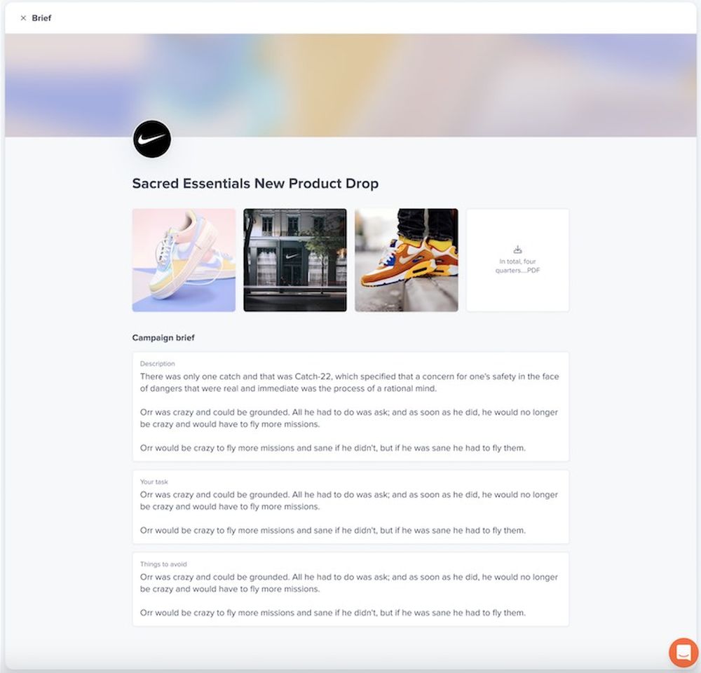 An influencer brief sample