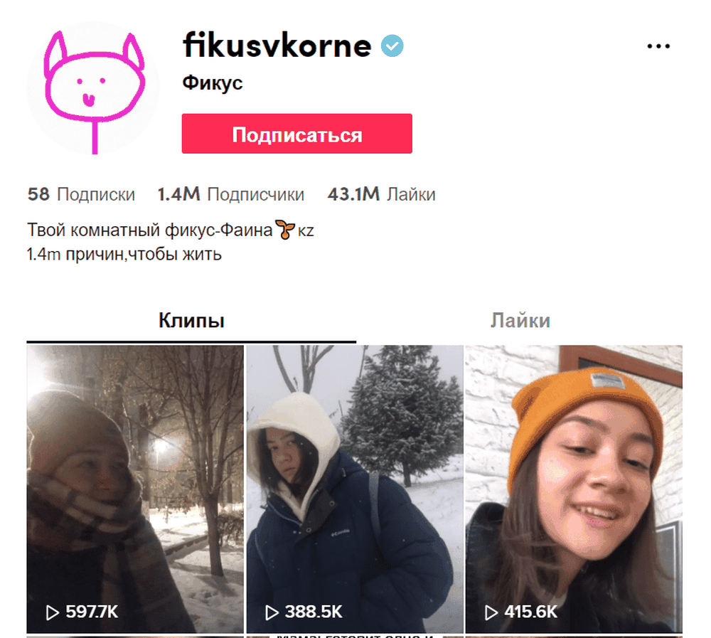 Fikusvkorne user at TikTok