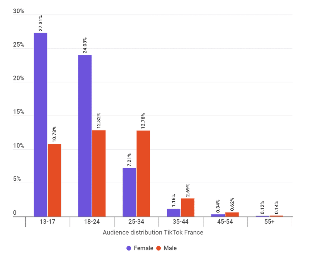 French TikTok Audience breakdown by age and gender