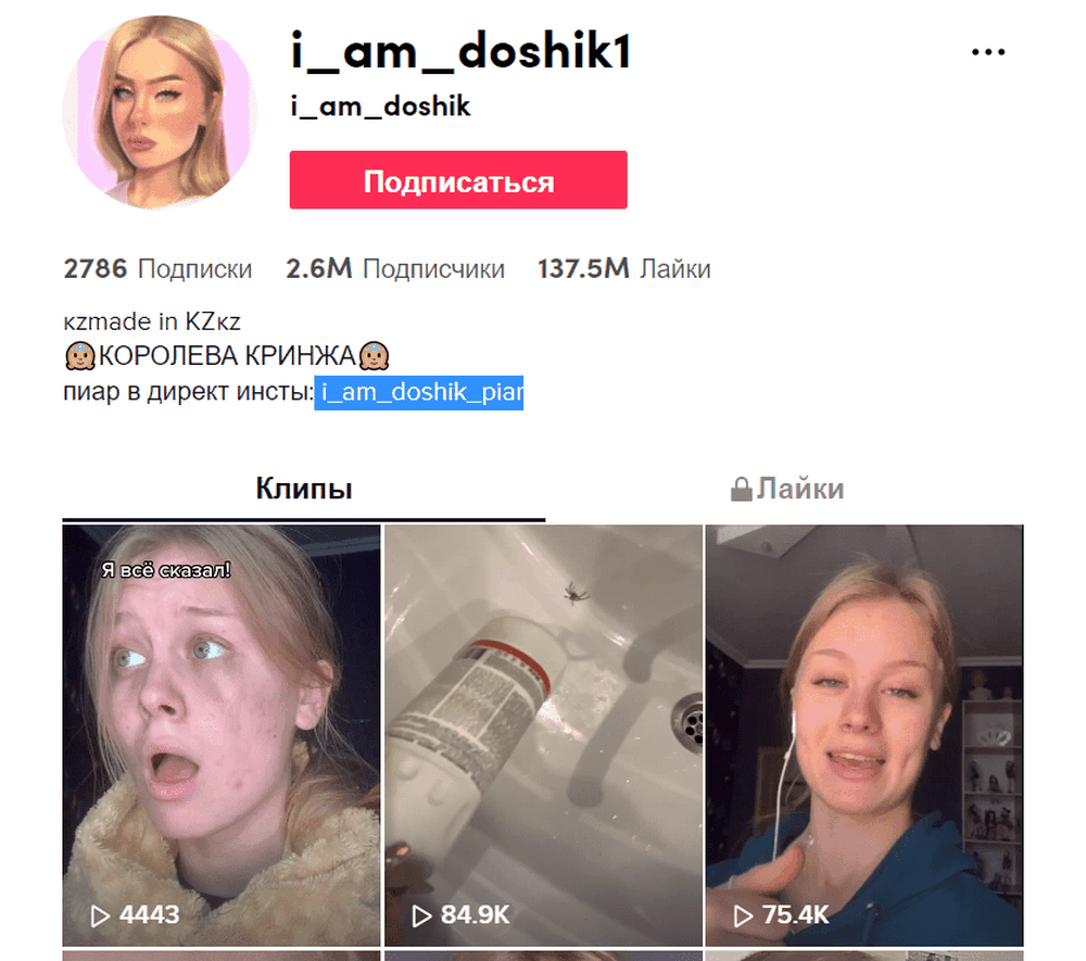 I am doshik user at TikTok