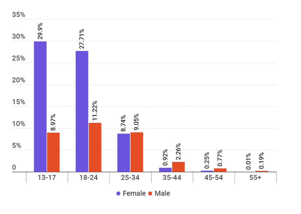 Audience of TikTok Influencers in Kazakhstan