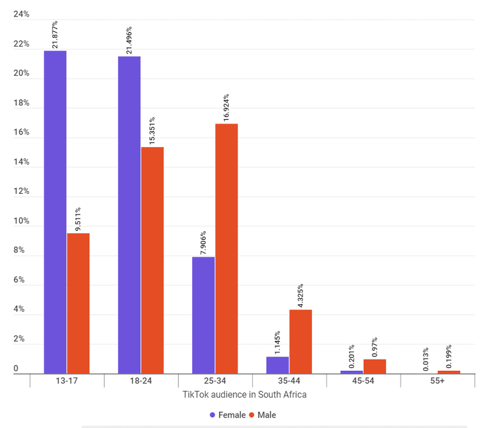 Audience of TikTok Influencers in South Africa