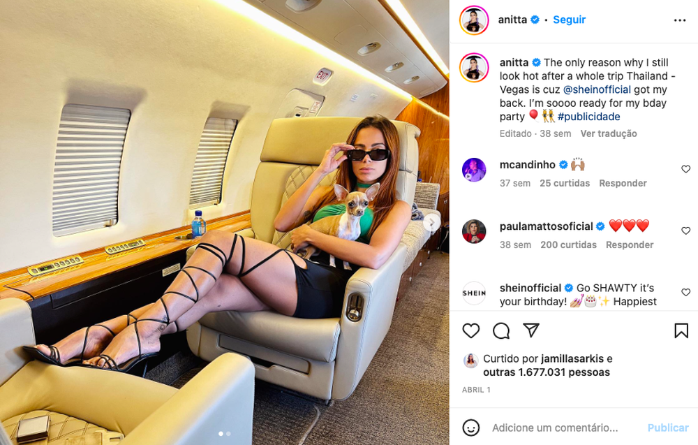 campanha shein e anitta