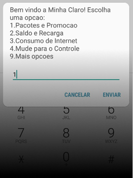 net claro pacotes