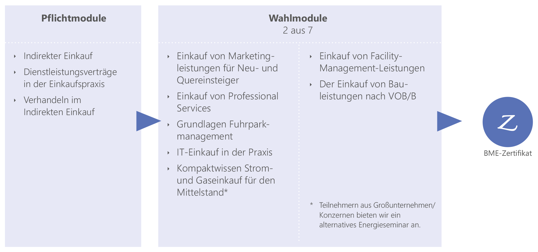 Übersicht Pflicht- und Wahlmoduel des Curriculums Indirekter Einkauf