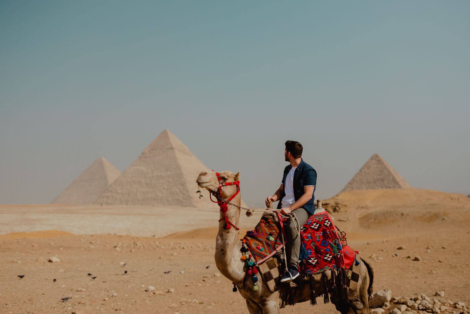 The Impact of NUA Films Person riding a camel in the desert, gazing at the Pyramids of Giza under a clear blue sky.