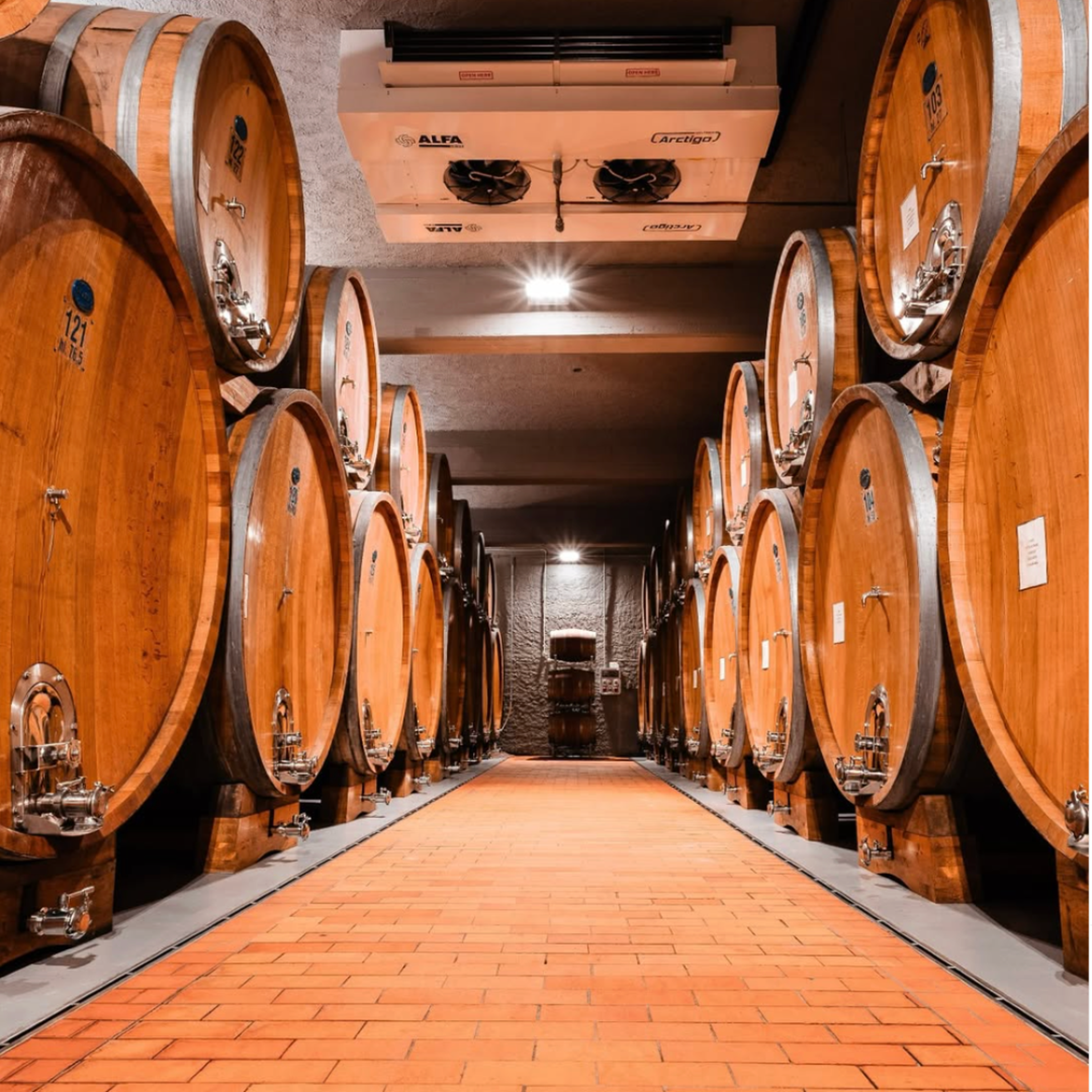 https://a.storyblok.com/f/105614/1080x1080/538630681f/prunotto-vinery.png