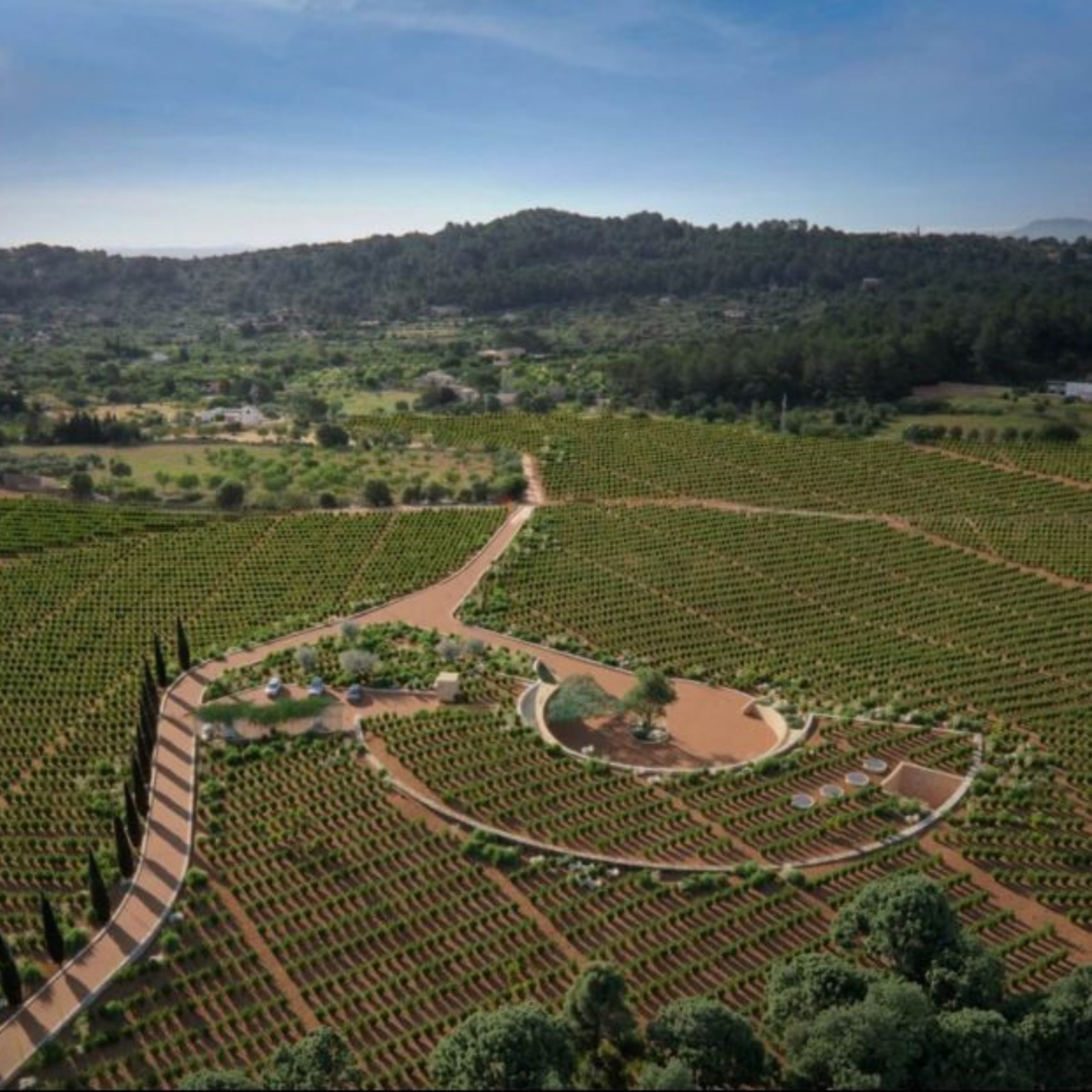 https://a.storyblok.com/f/105614/1080x1080/857f0eb49f/bodega-oloron.png