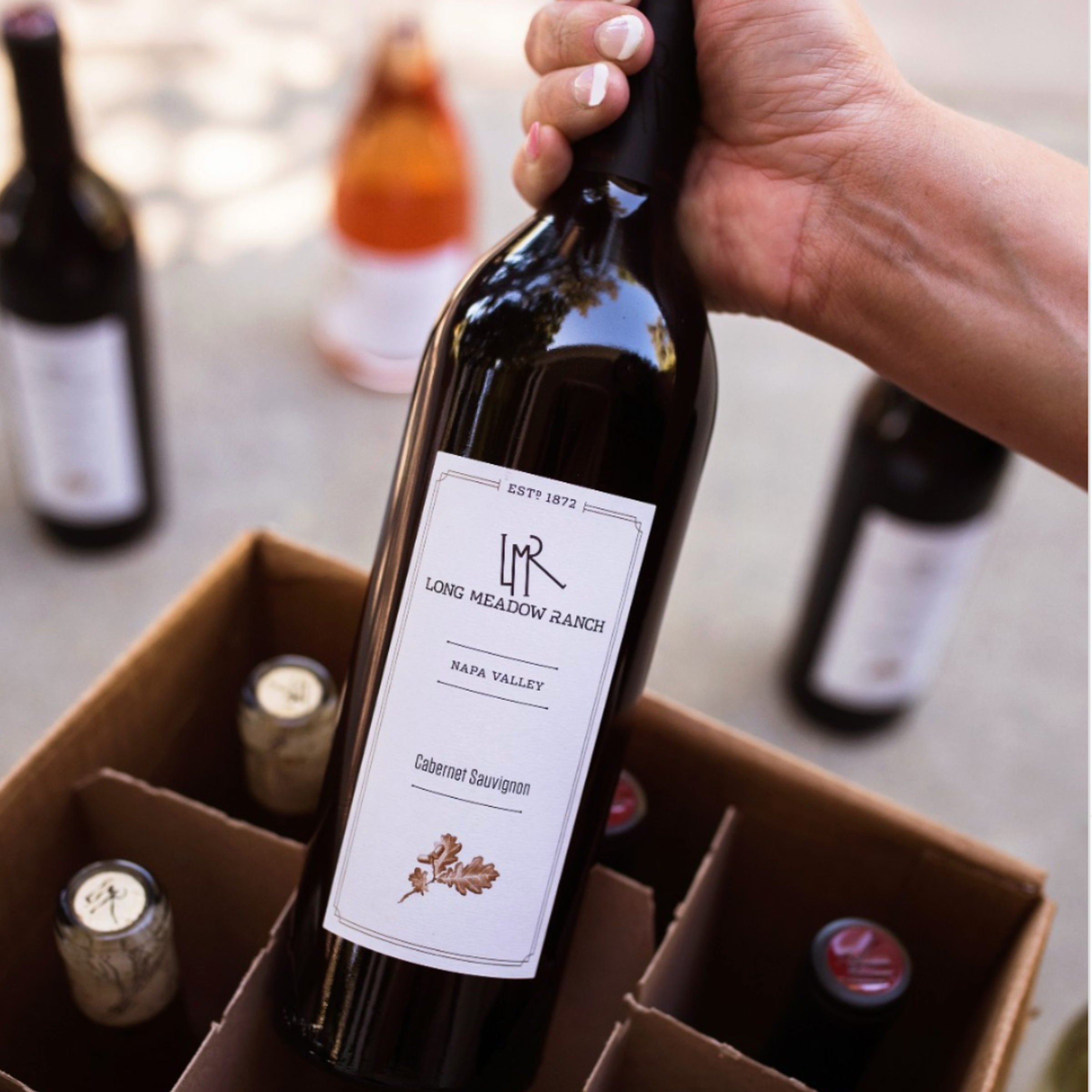 https://a.storyblok.com/f/105614/1080x1080/916ea25bf1/lmr-napa-valley-cabernet-sauvignon-tsv.png