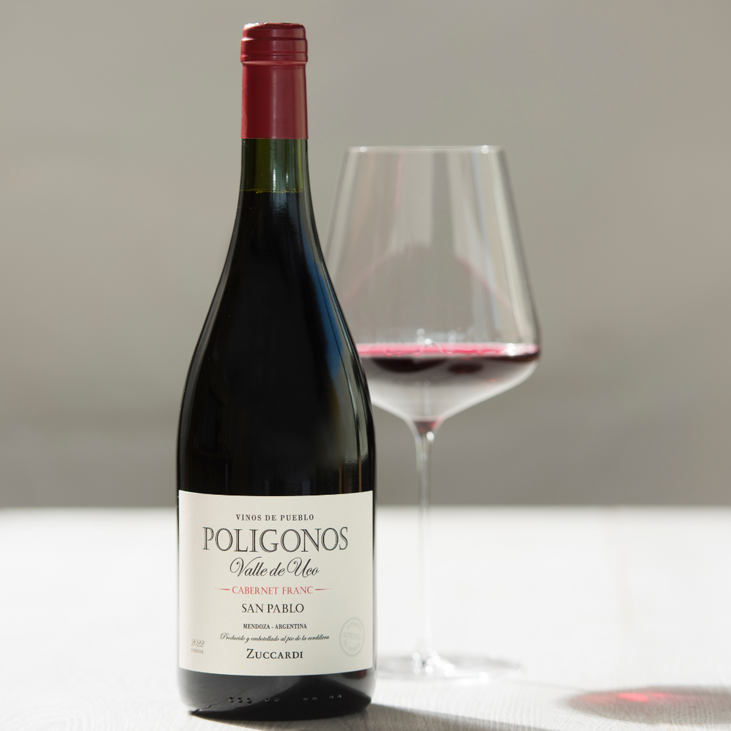 https://a.storyblok.com/f/105614/1080x1080/c92065788d/poligonos-cab-franc-zuccardi.png