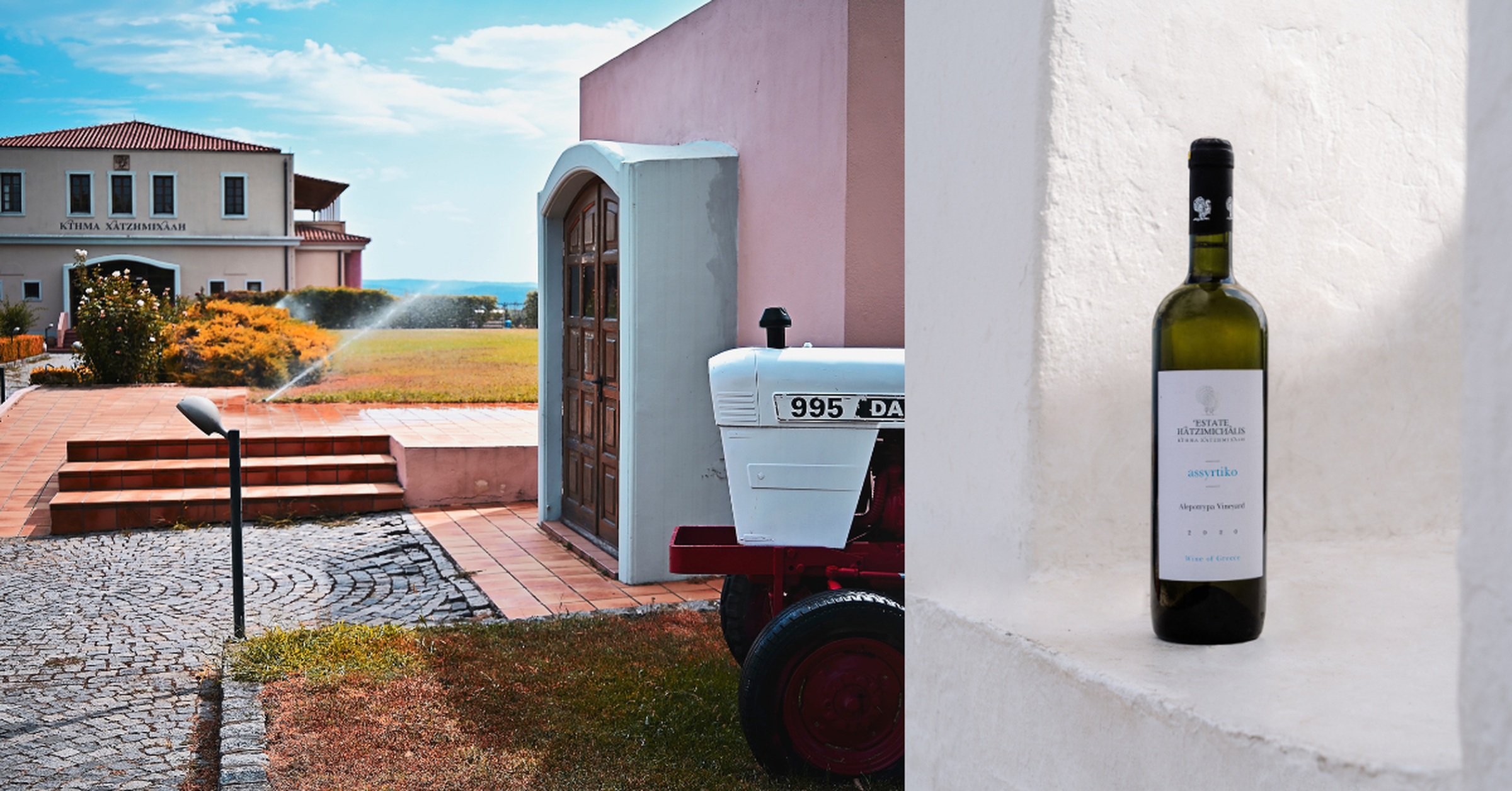 *Assyrtiko Alepotrypa Vineyards 2024*