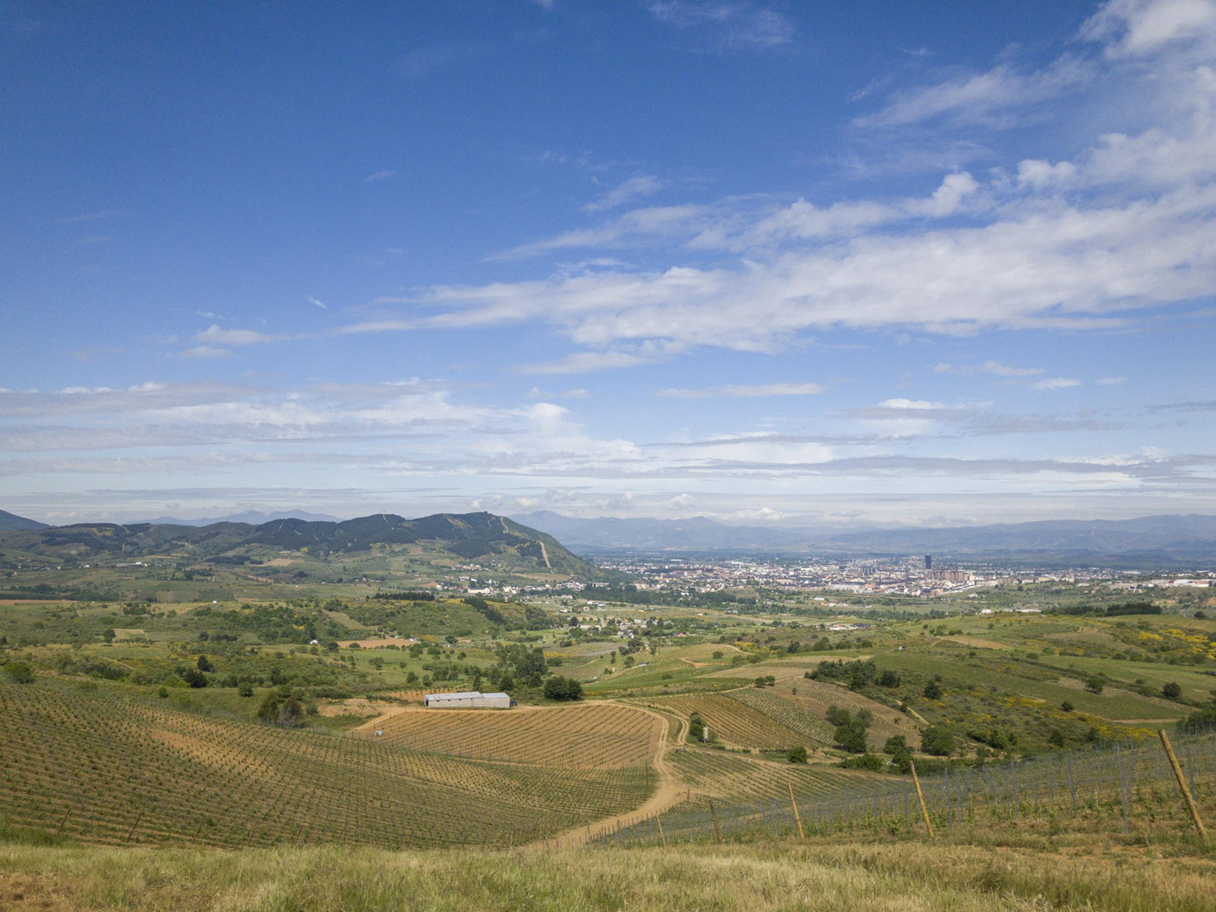 Bodegas Emilio Moro