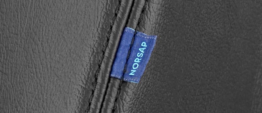 Rückenkissen Norsap