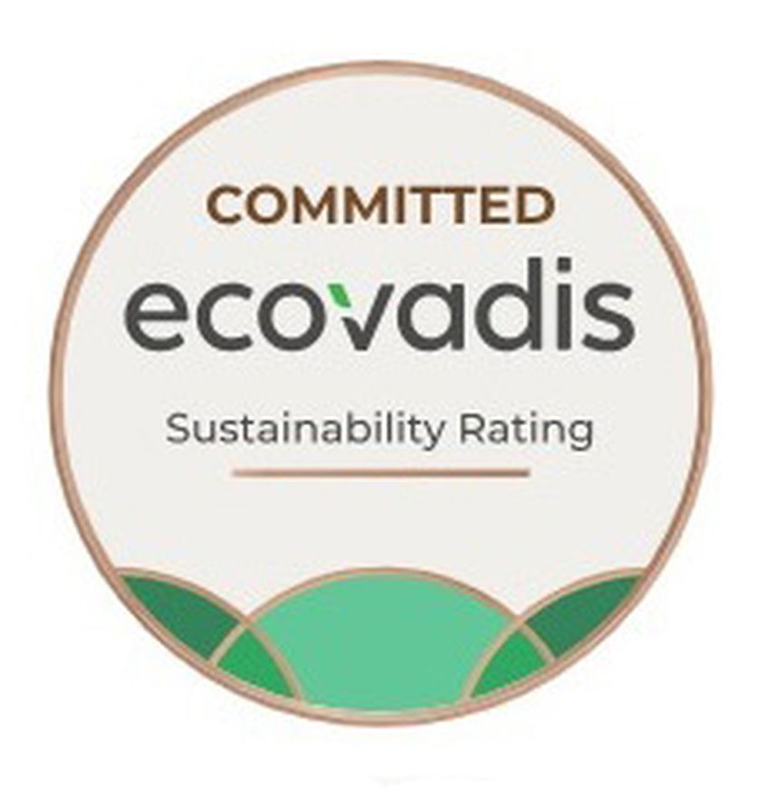 Ecovadis logo