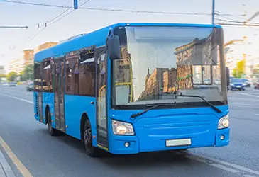 Seats for bus