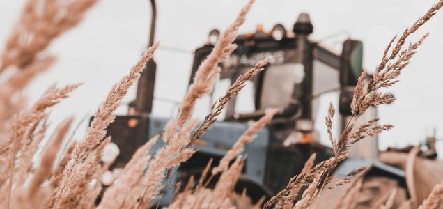 How do you maintain your tractor seat during the winter months?
