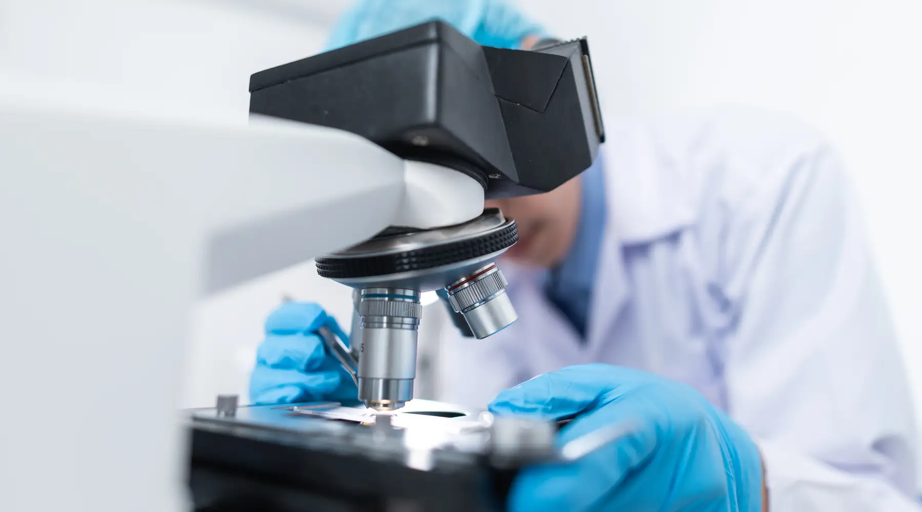 lab