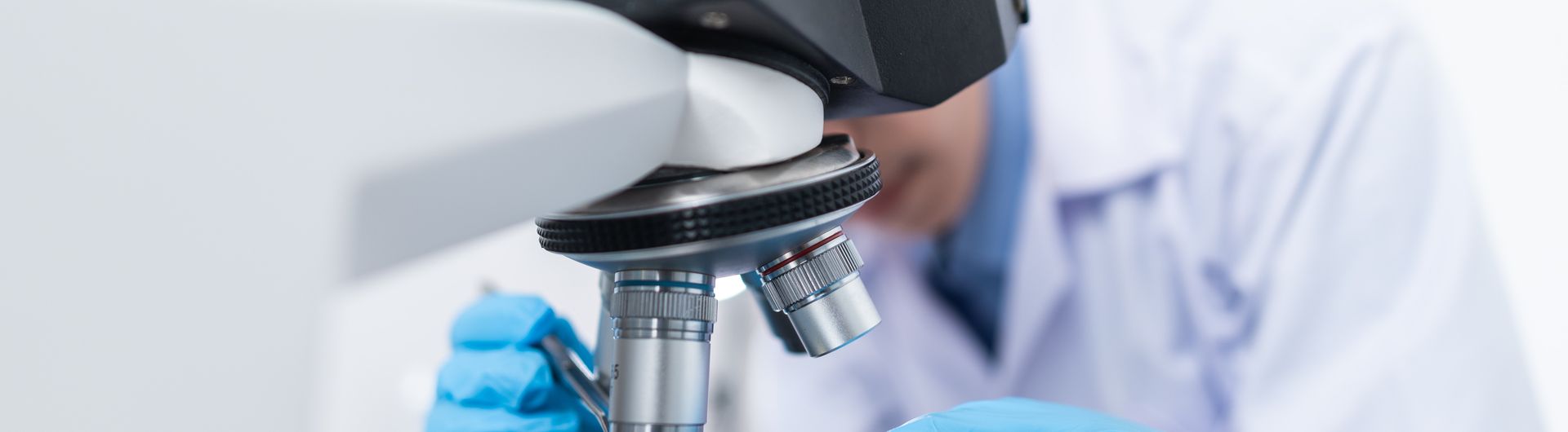 lab