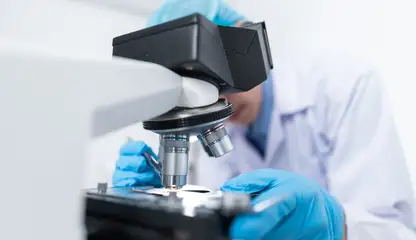 lab