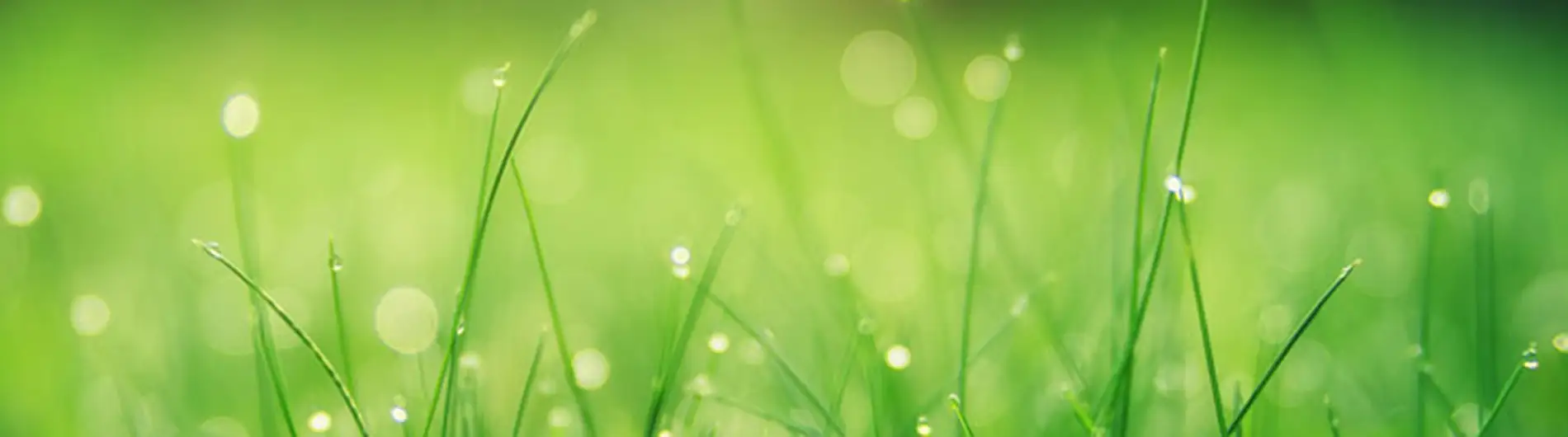 Corporate Social Responsibility