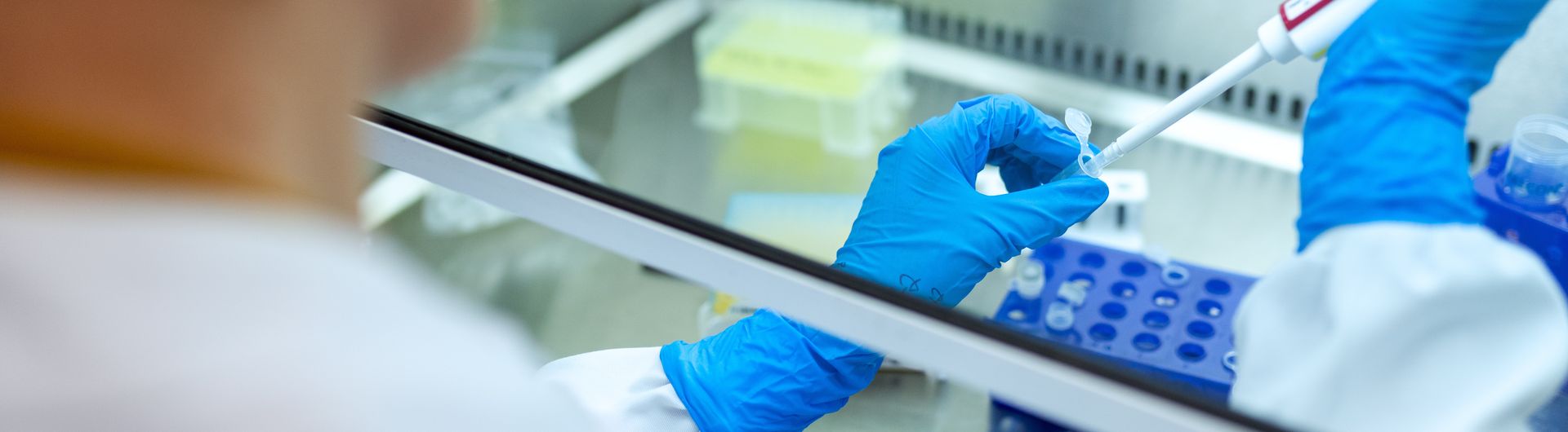 lab