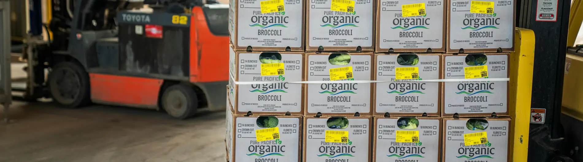 heftruckstoel juist instellen