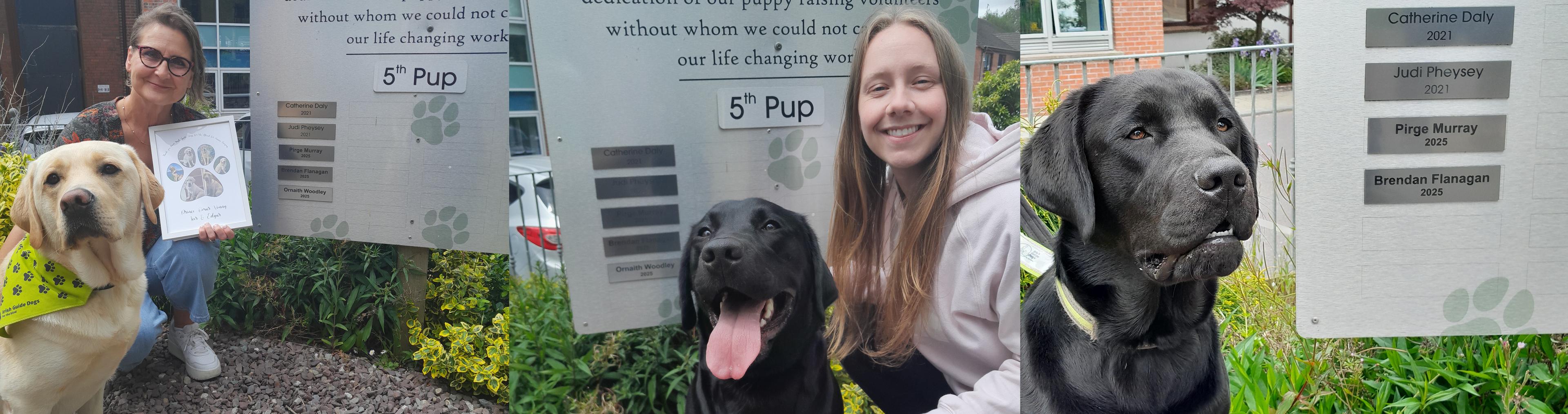 Collage of 3 images of Pirge and Vonny, Ornaith and Casey and Crowley all taken in front of a plaque in the grounds of the Centre
