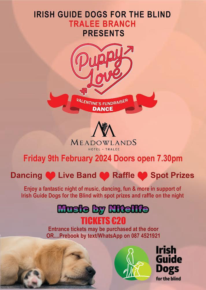 Hearts Happy Friday Dance Puppy Love Valentines Fundraiser Dance