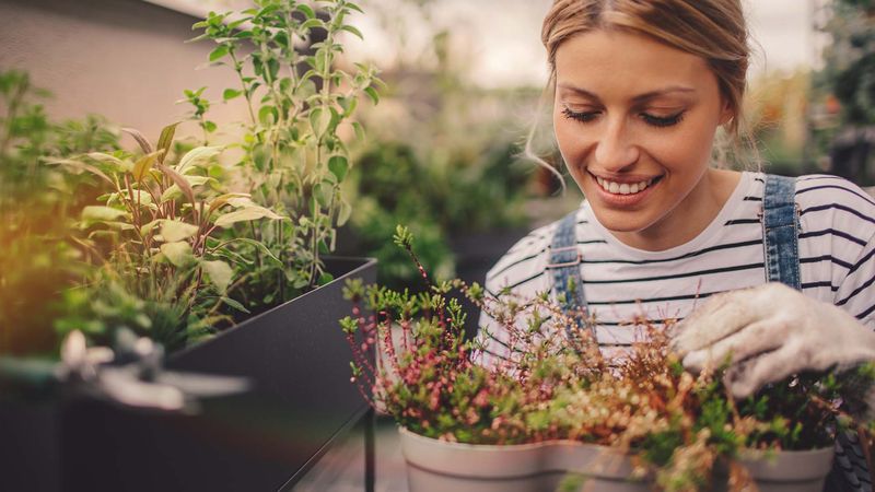 Junge Frau betreut Pflanzen auf ihrer Terrasse