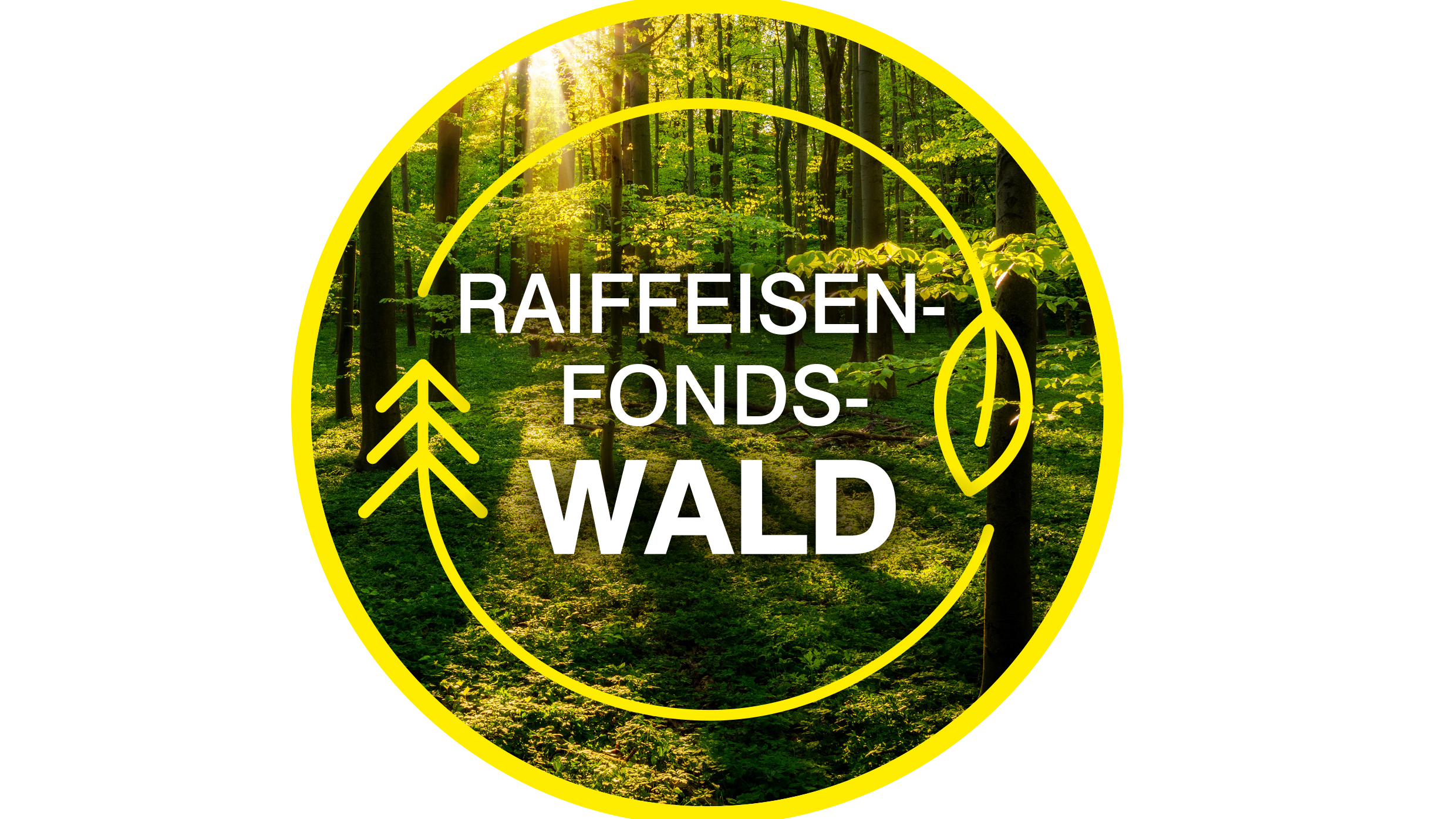 Raiffeisen Fondswald Junger Baum wird gepflanzt