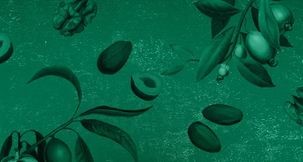 Diana Company doprava zdarma se Zasilkovnou do 28. února 2026