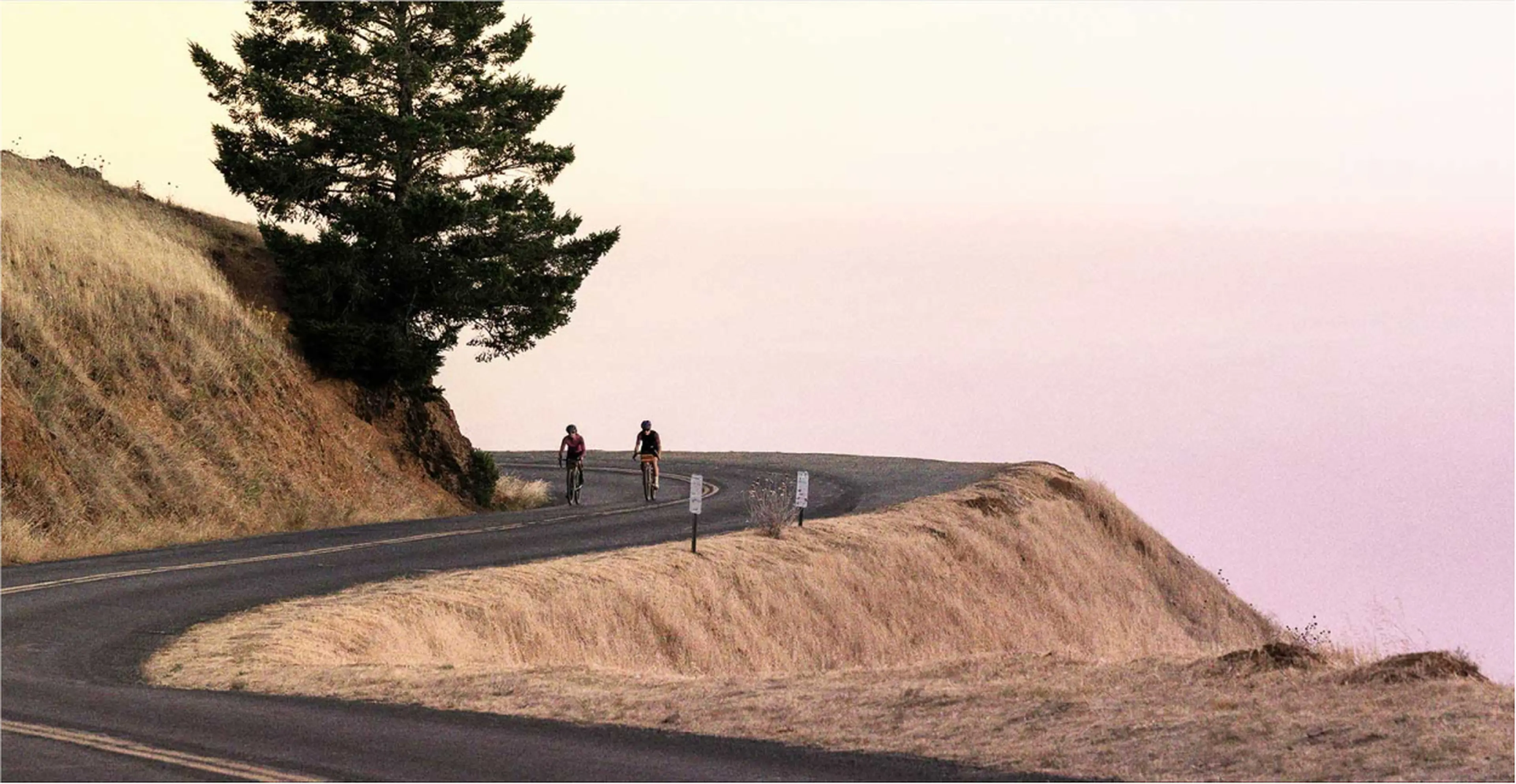 Two cyclists ride along a winding road at dusk, with a solitary tree and dry grass on the hillside, under a soft pink sky.