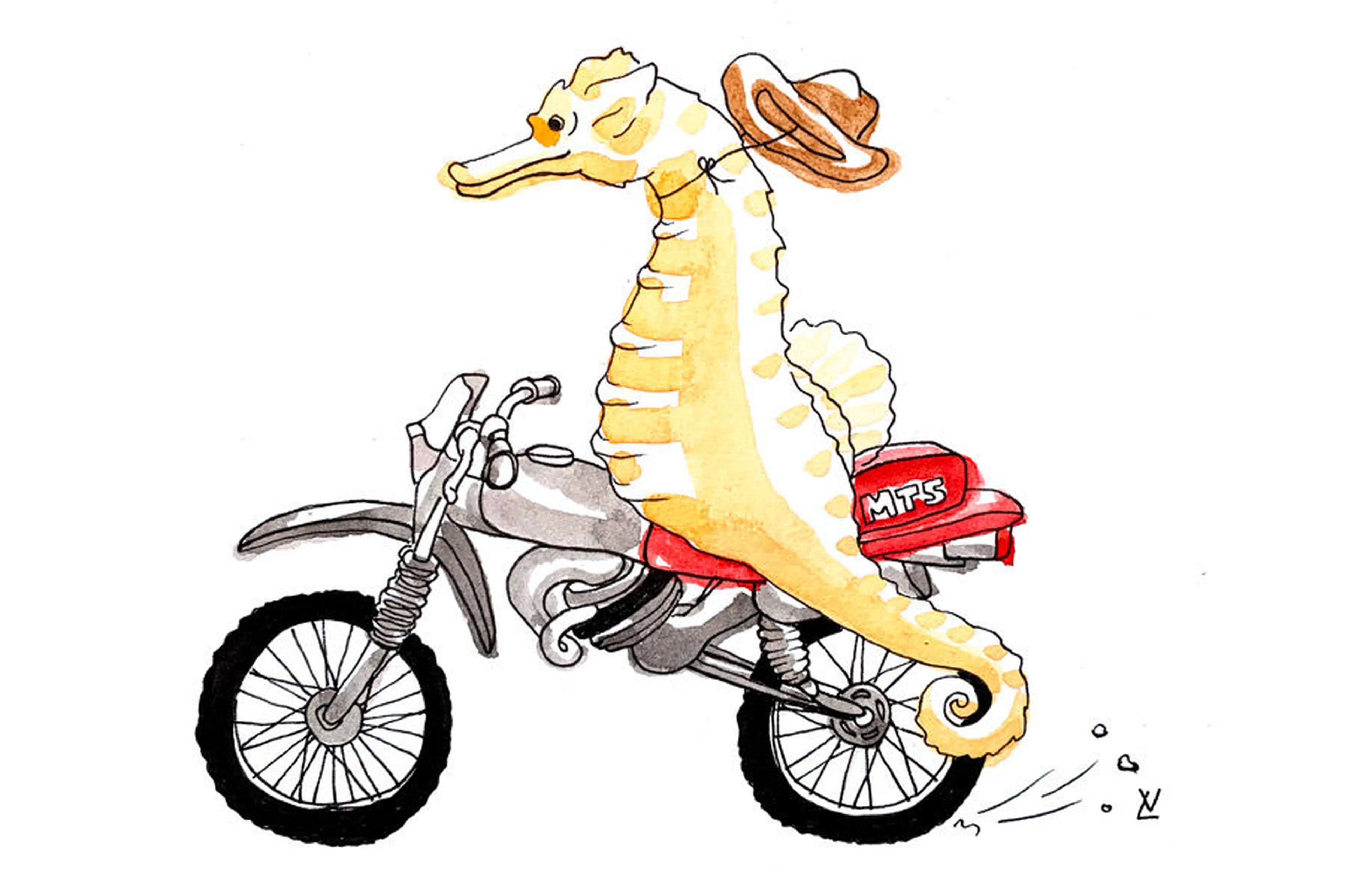 A seahorse on a moped