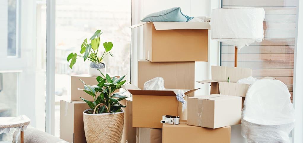 tado° multizone systeem overdragen