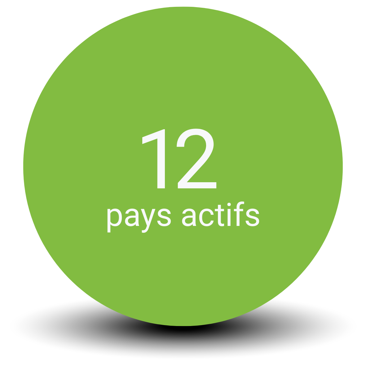 Bolletjes op de homepage (22)