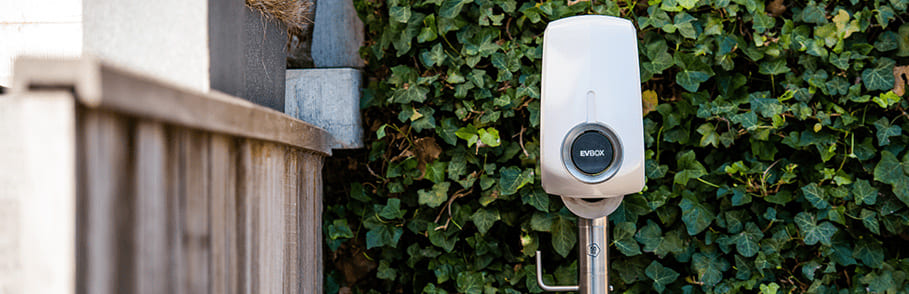Elvi Socket wit - blog
