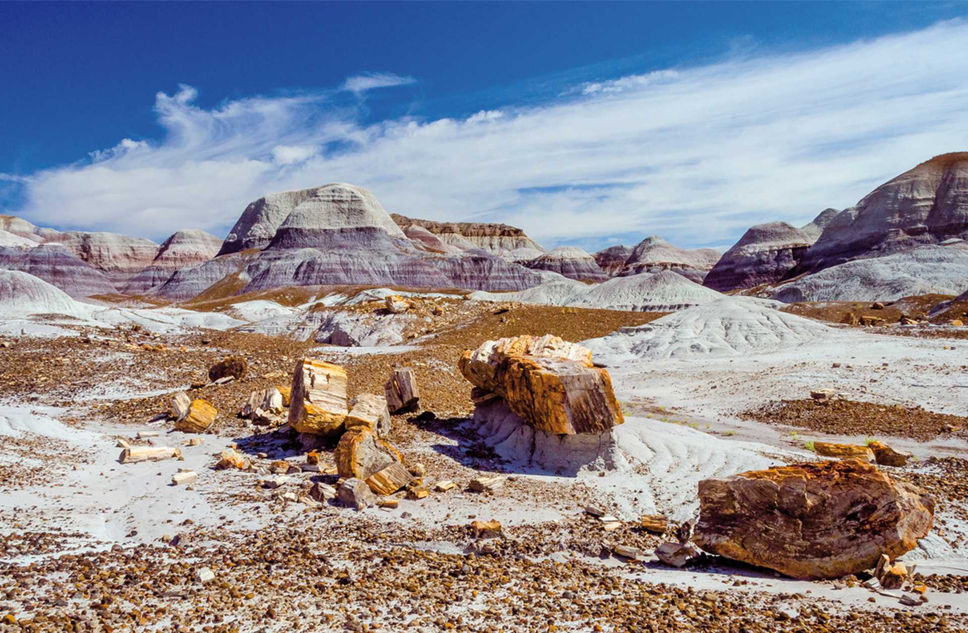 Petrified Forest National Park near Holbrook, Arizona
